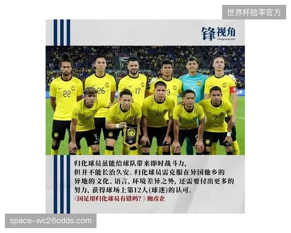 瑞士队依靠多名归化球员构建核心框架，球队的文化融合与凝聚力是战斗力的基础。